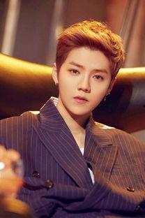 鹿晗身世娱乐八卦爆料,娱乐圈背后的惊人真相 第3张 鹿晗身世娱乐八卦爆料,娱乐圈背后的惊人真相 第3张