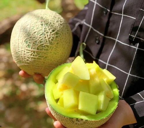 娱乐吃瓜酱橘子甜不甜 第2张 娱乐吃瓜酱橘子甜不甜 第2张